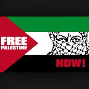 Meet your Posher, Abdallah